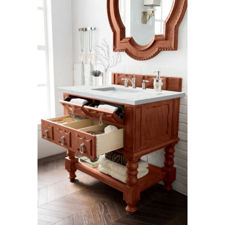 A large image of the James Martin Vanities 160-V36-3ENC Alternate Image