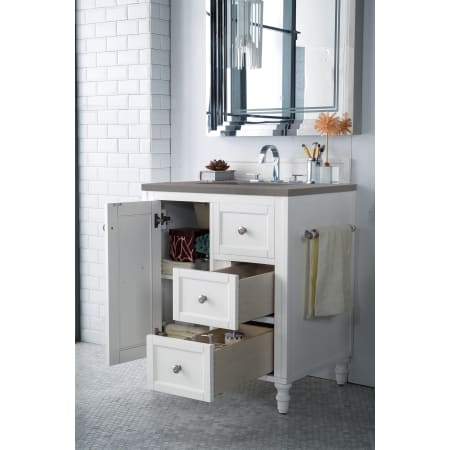 A large image of the James Martin Vanities 301-V30-3GEX Alternate Image