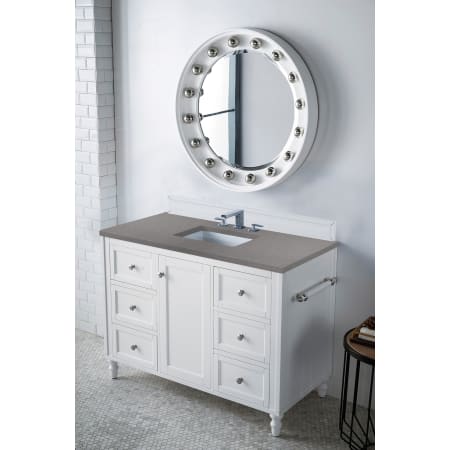 A large image of the James Martin Vanities 301-V48-3GEX Alternate Image