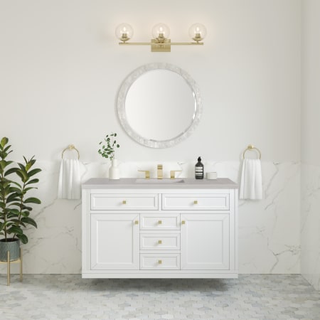 A large image of the James Martin Vanities 305-V48-3ESR Alternate Image