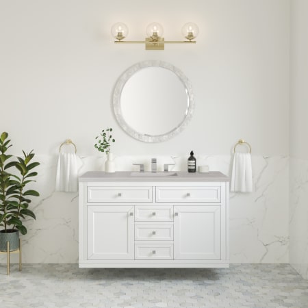 A large image of the James Martin Vanities 305-V48-3ESR-HW Alternate Image