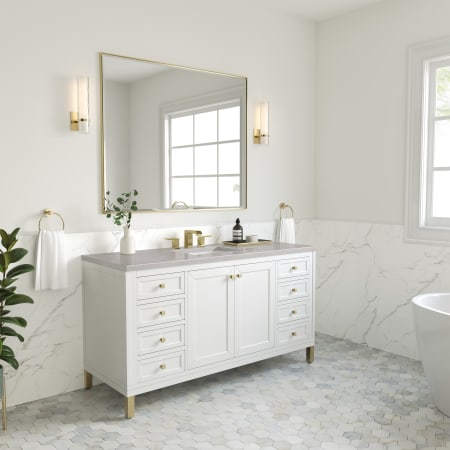 A large image of the James Martin Vanities 305-V60S-3ESR Alternate Image