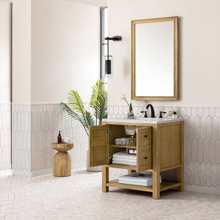 A large image of the James Martin Vanities 330-V30-3ENC Alternate Image