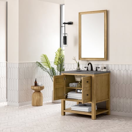 A large image of the James Martin Vanities 330-V30-3GEX Alternate Image