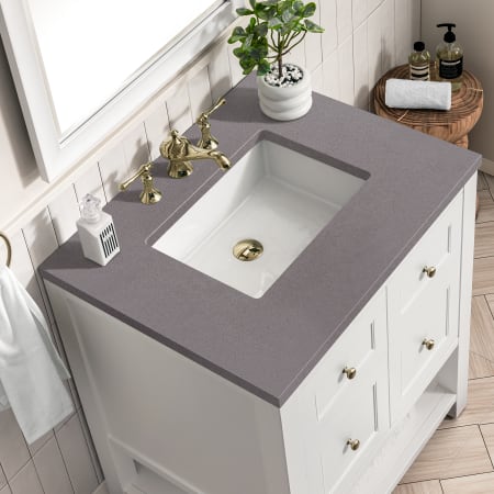 A large image of the James Martin Vanities 330-V30-3GEX Alternate Image