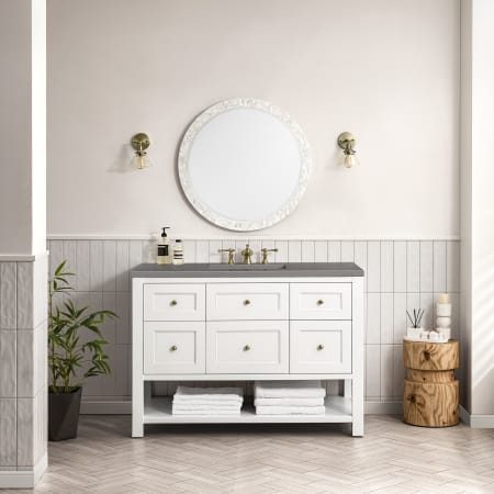 A large image of the James Martin Vanities 330-V48-3GEX Alternate Image