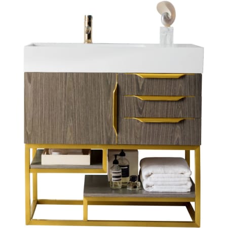 A large image of the James Martin Vanities 388-V36-RG-GW Ash Gray