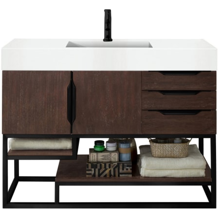 A large image of the James Martin Vanities 388-V48-MB-GW Coffee Oak