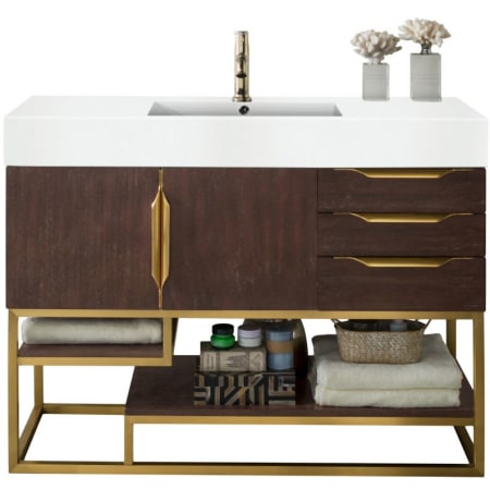 A large image of the James Martin Vanities 388-V48-RG-GW Coffee Oak
