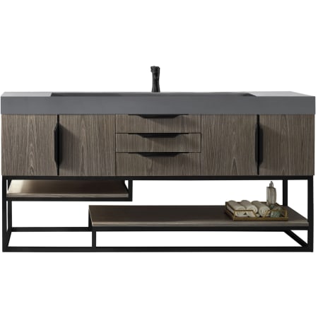 A large image of the James Martin Vanities 388-V72S-MB-DGG Ash Gray