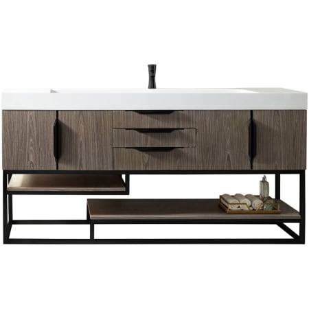 A large image of the James Martin Vanities 388-V72S-MB-GW Ash Gray