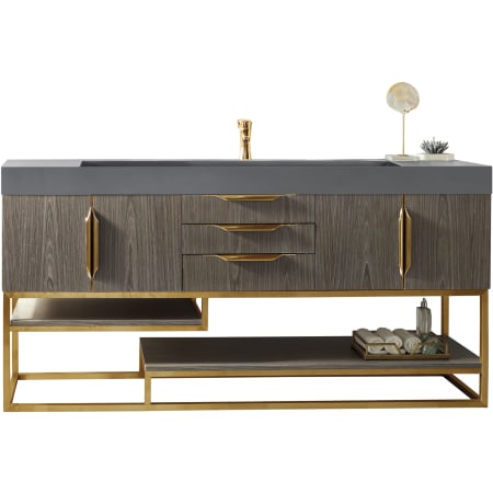 A large image of the James Martin Vanities 388-V72S-RG-DGG Ash Gray