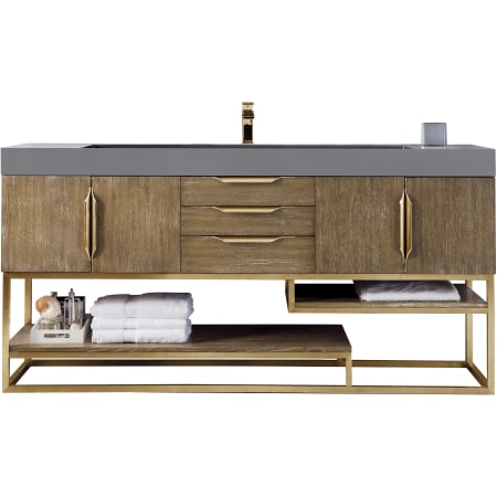 A large image of the James Martin Vanities 388-V72S-RG-DGG Latte Oak