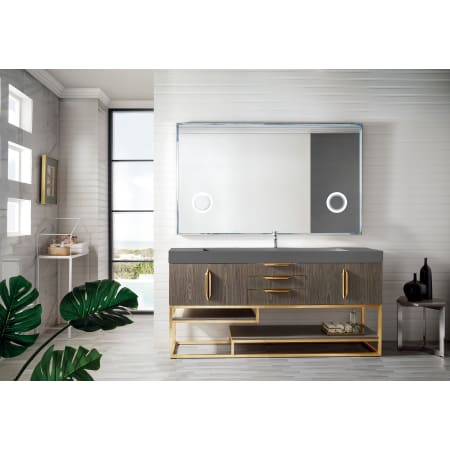 A large image of the James Martin Vanities 388-V72S-RG-DGG Alternate Image