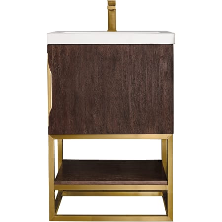 A large image of the James Martin Vanities 388V24RGDWG Coffee Oak