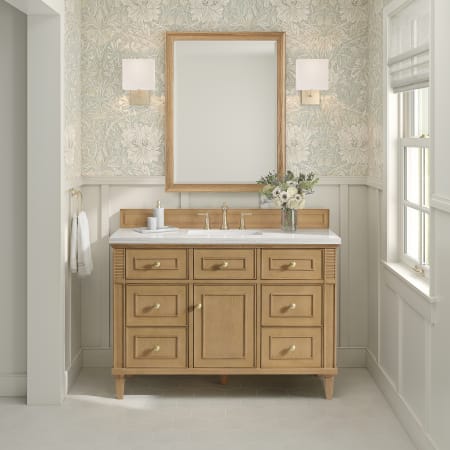 A large image of the James Martin Vanities 424-V48-3WZ Alternate Image