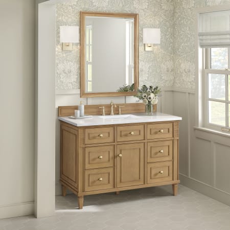 A large image of the James Martin Vanities 424-V48-3WZ Alternate Image