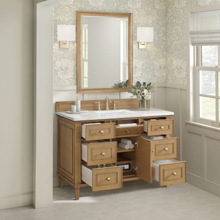 A large image of the James Martin Vanities 424-V48-3WZ Alternate Image