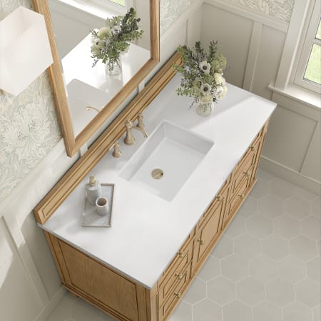 A large image of the James Martin Vanities 424-V48-3WZ Alternate Image