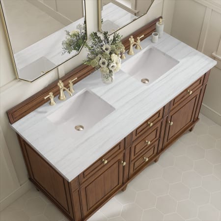 A large image of the James Martin Vanities 424-V60D-3AF Alternate Image