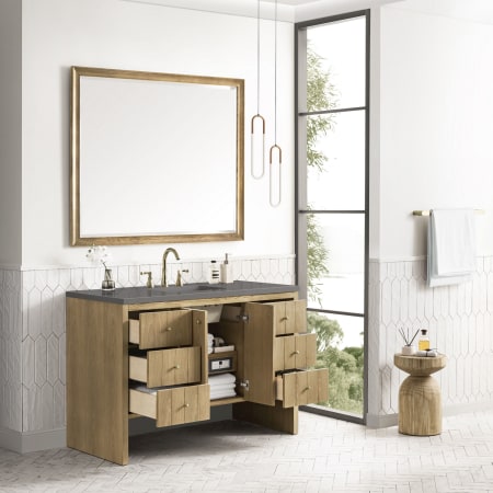 A large image of the James Martin Vanities 435-V48-3GEX Alternate Image