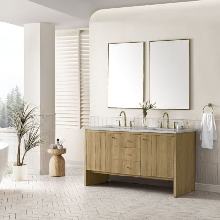 A large image of the James Martin Vanities 435-V60D-3ESR Alternate Image