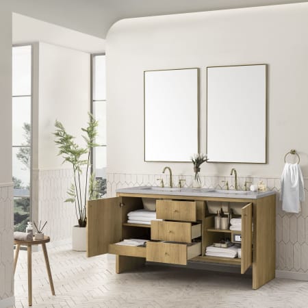 A large image of the James Martin Vanities 435-V60D-3ESR Alternate Image