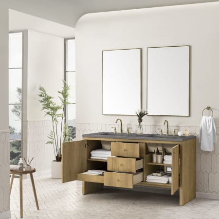 A large image of the James Martin Vanities 435-V60D-3GEX Alternate Image