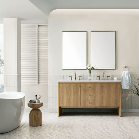 A large image of the James Martin Vanities 435-V60D-3LDL Alternate Image