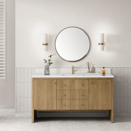 A large image of the James Martin Vanities 435-V60S-1WZ Alternate Image