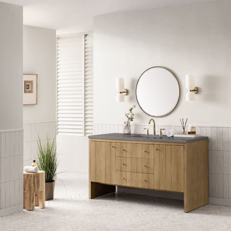 A large image of the James Martin Vanities 435-V60S-3GEX Alternate Image