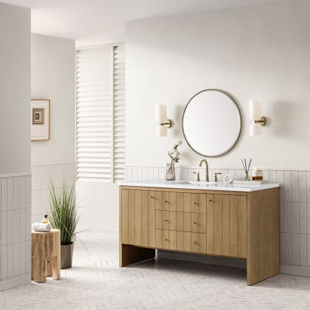 A large image of the James Martin Vanities 435-V60S-3WZ Alternate Image