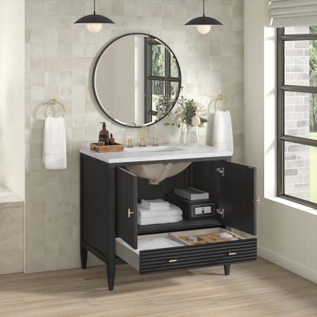 A large image of the James Martin Vanities 485-V36-3AF Alternate Image