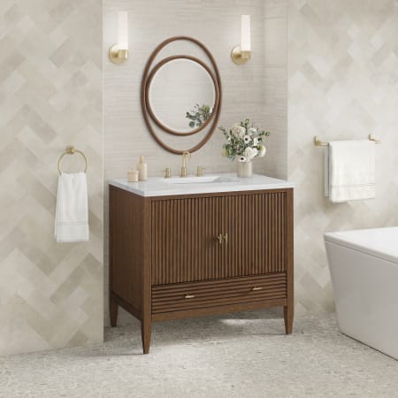 A large image of the James Martin Vanities 485-V36-3AF Alternate Image