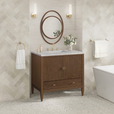 A large image of the James Martin Vanities 485-V36-3EJP Alternate Image