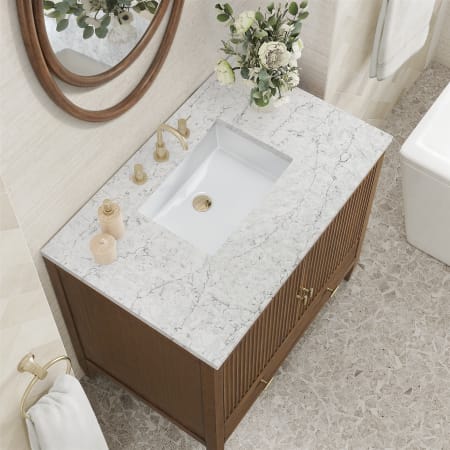 A large image of the James Martin Vanities 485-V36-3EJP Alternate Image