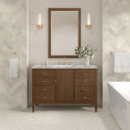 A large image of the James Martin Vanities 485-V48-3WZ Alternate Image