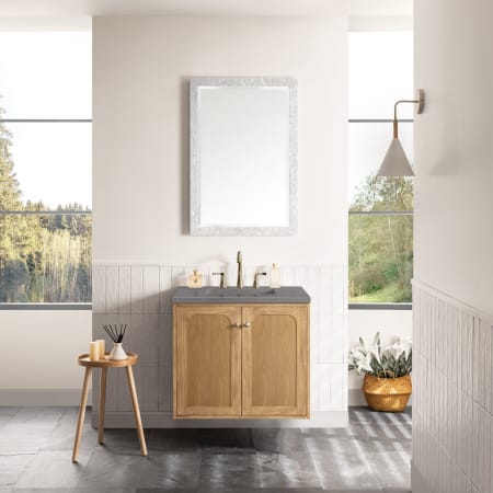 A large image of the James Martin Vanities 545-V30-3GEX Alternate Image