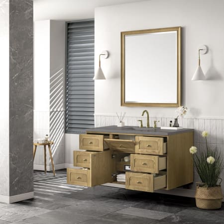 A large image of the James Martin Vanities 545-V48-3GEX Alternate Image