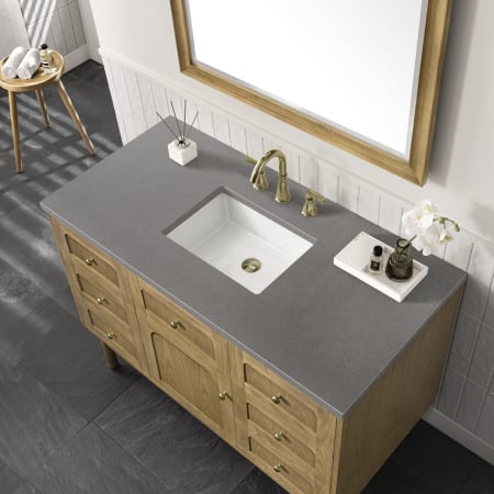 A large image of the James Martin Vanities 545-V48-3GEX Alternate Image