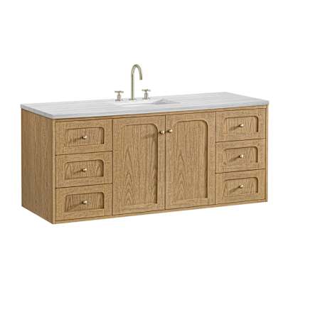 A large image of the James Martin Vanities 545-V60S-3AF Alternate Image