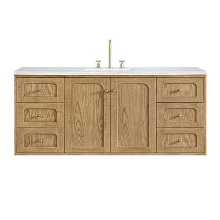 A large image of the James Martin Vanities 545-V60S-3AF Alternate Image
