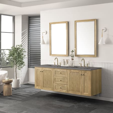 A large image of the James Martin Vanities 545-V72-3GEX Alternate Image