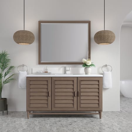 A large image of the James Martin Vanities 620-V60S-1WZ Alternate Image