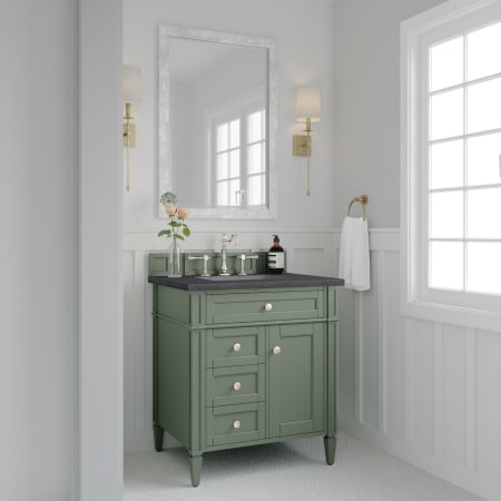 A large image of the James Martin Vanities 650-V30-3CSP Alternate Image