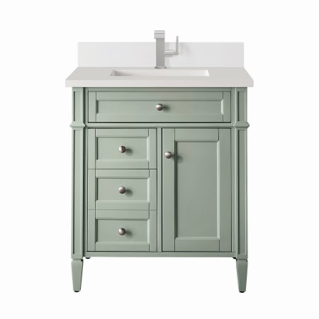 A large image of the James Martin Vanities 650-V30-1WZ Sage Green