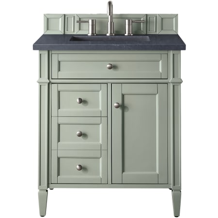 A large image of the James Martin Vanities 650-V30-3CSP Sage Green