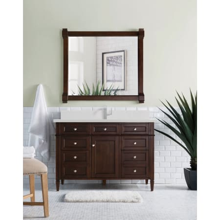 A large image of the James Martin Vanities 650-V48-1WZ Alternate Image