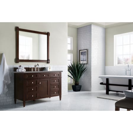 A large image of the James Martin Vanities 650-V48-3GEX Alternate Image