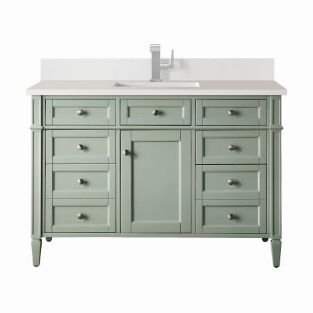 A large image of the James Martin Vanities 650-V48-1WZ Sage Green